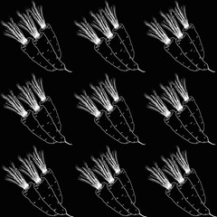 Fresh carrots. Hand-drawn illustration with vegetables. A farmer's market product. A great healthy food design template with vegetables drawn in chalk on a blackboard. Great for menus