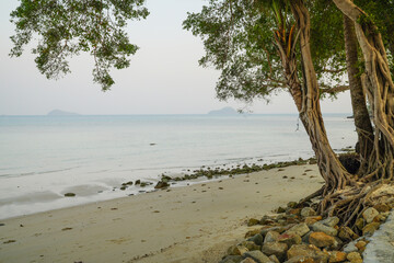 View of Koh Lao Ya, Trat Province, Thailand, see clear water, jetty, various trees which tourists like.