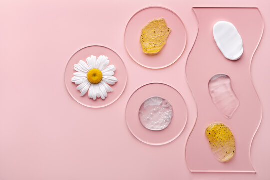 Cosmetic products with particles in petri dish on pink background. Natural skincare samples with chamomile