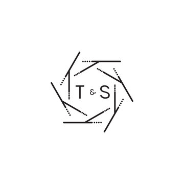 TS geometric concept graphic logo which is good for digital branding or print