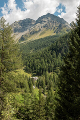 Swiss mountains and lakes on a sunny day with white clouds