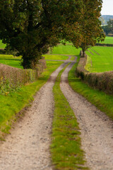 path in the park