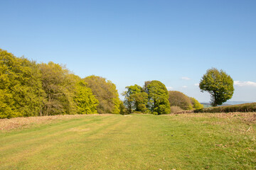 Hergest ridge in the UK.