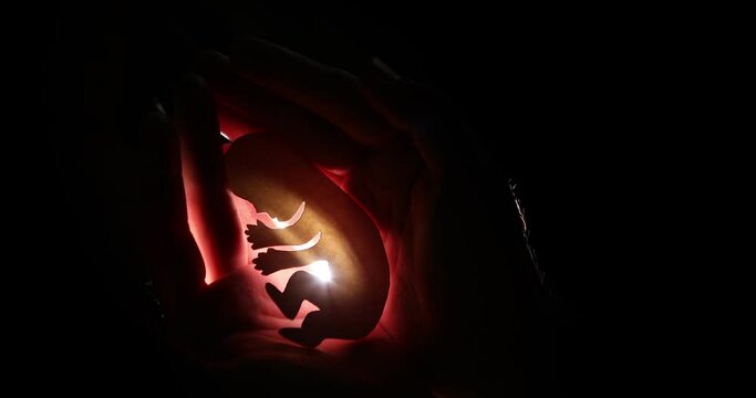 embryo silhouette in woman hand. new life