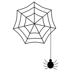 Fototapeta premium spider and web