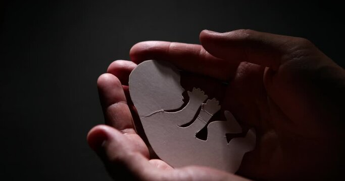 embryo silhouette in woman hand. new life