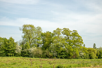 Wye valley in Herefordshire, England.