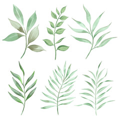 Watercolor green leaves collection. Set of lovely watercolor leaves and branches. Botanical Png illustration.