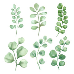 four leaf clover Watercolor collection of plant elements for design.png illustrations 