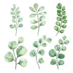 Fototapeta premium four leaf clover Watercolor collection of plant elements for design.png illustrations 