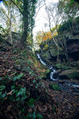 waterfall in the forest