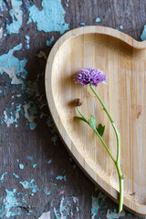coração de madeira cortado ao meio sobre fundo rústico. com pequena flor lilás. Top viwe
