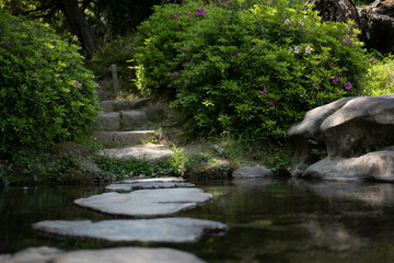 Japanese garden