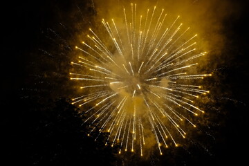 Beautiful firework exploding at night