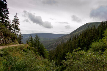 clouds in the mountains
