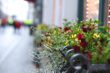 Fototapete bei efototapeten.de bestellen   