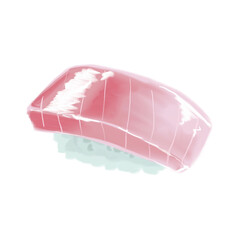 japanese sushi food watercolor paint