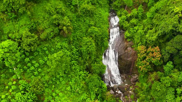 Beautiful waterfall in the rainforest view from above. Kuda Falls, Sri Lanka.