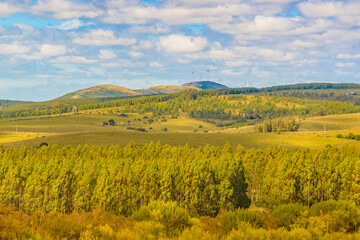 Uruguay countryside landscape