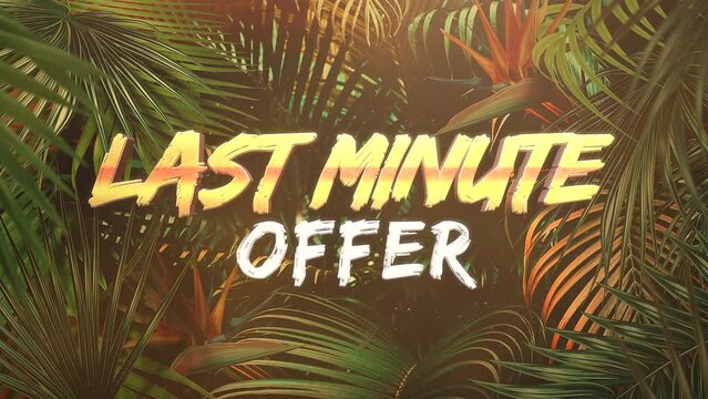 Last Minute Offer with tropical palms in jungle, motion promotion, summer and retro style background