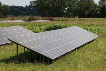 Farma ekologicznych paneli słonecznych na polanie. - obrazy, fototapety, plakaty