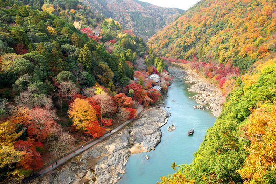 紅葉の嵐山　亀山公園展望台からの眺め