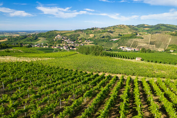 Vineyard plantations, panoramic aerial view north of Italy. Blue sky, clouds, countryside hills in Summer - obrazy, fototapety, plakaty