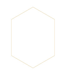 Gold geometry frame, botanical gold vintage frame illustration.Flower hexagon, rhombus frame, greenery, rustic, luxury wedding stationery invitation, shabby chic baby shower,greeting card	