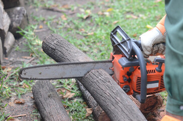 Closeup of a man's hand holding a chainsaw on a half-cut trunk