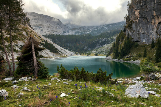 Alpine Environment of Lake Krn in Slovenia in October