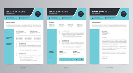 Professional Resume or CV and Cover Letter Template