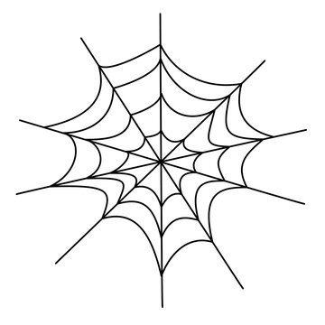 Spider web line art. Vector illustration in doodle technique. Hand drawn isolated on white background 