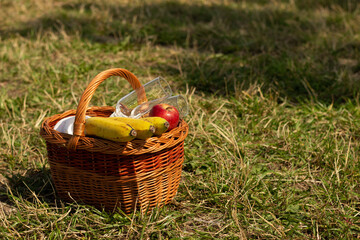 Fototapeta na wymiar picnic in nature, fruit basket