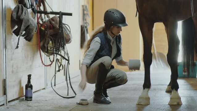 Female rider brushing and wrapping horse legs in stable while preparing for riding