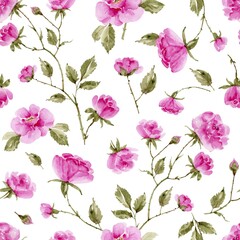 Watercolor floral pattern with roses, hand painted isolated on white background.