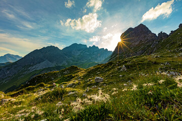 Allgäu - Alpen - Oberstdorf - Walsertal - Blumen