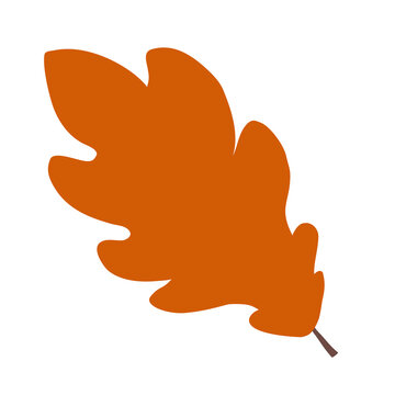 Automn Leaf Vector Icon Illustration in flat design.