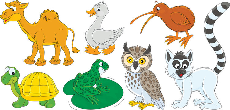 Vector cartoon set of a funny camel, lemur, kiwi, goose, turtle, frog and owl