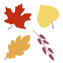 Automn Leaf Vector Icon Illustration in flat design.