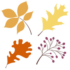 Automn Leaf Vector Icon Illustration in flat design.