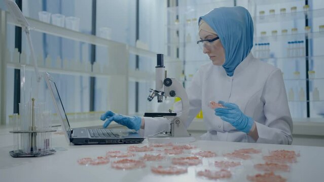 portrait of a Muslim woman scientist in hijab and white coat looking through a microscope studying artificial meat