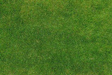Fototapeta na wymiar Football field. Grass texture. Green lawn. Natural background.