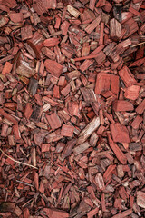 Red mulch as a decorative element in landscape design. Protection of the soil from drying out, cold weather, weeds. Garden area. Background from wood chips.