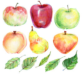 Set of watercolor fruits, berries leaves.  fig apple plum pear peach raspberry blackberry cherry.  bright fruits on a white background.  for scrapbooking, restaurant menu, stickers, kitchen decor,