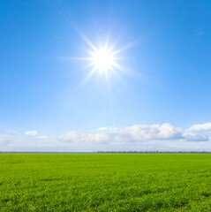 Fototapeta na wymiar wide green rural field under cloudy sky and sparkle sun