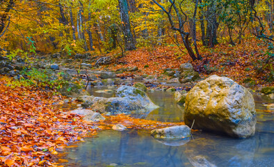 Obraz na płótnie Canvas small river rushing through mountain canyon, autumn natural mountain river background
