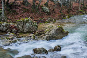 Naklejka na ściany i meble small river rushing through mountain canyon, autumn natural mountain river background