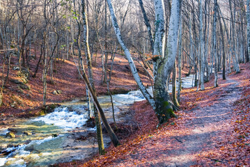small river rushing through mountain canyon, autumn natural mountain river background