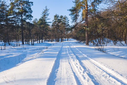 rural road through the winter snowbound forest
