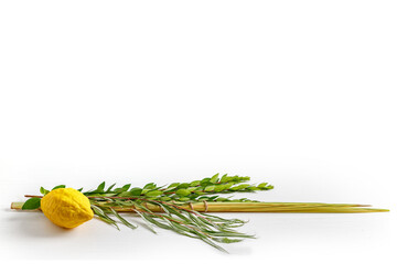 Jewish holiday of Sukkot. Traditional symbols (The four species): Etrog (citron), lulav (palm...